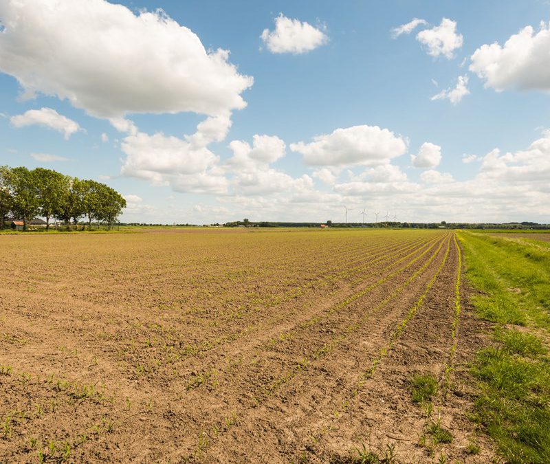 Winst bij verkoop grond belast
